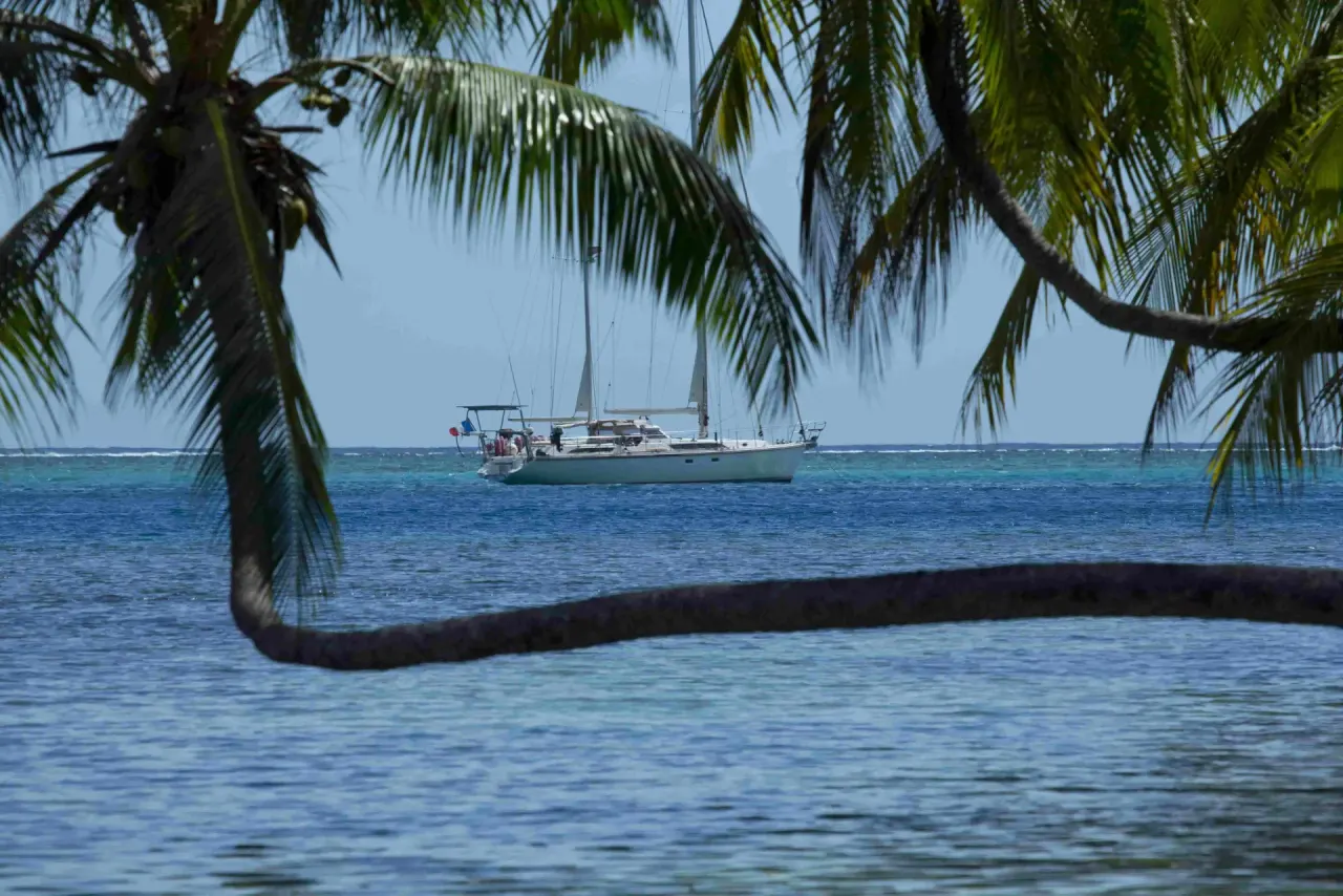 The landscape of Moorea
