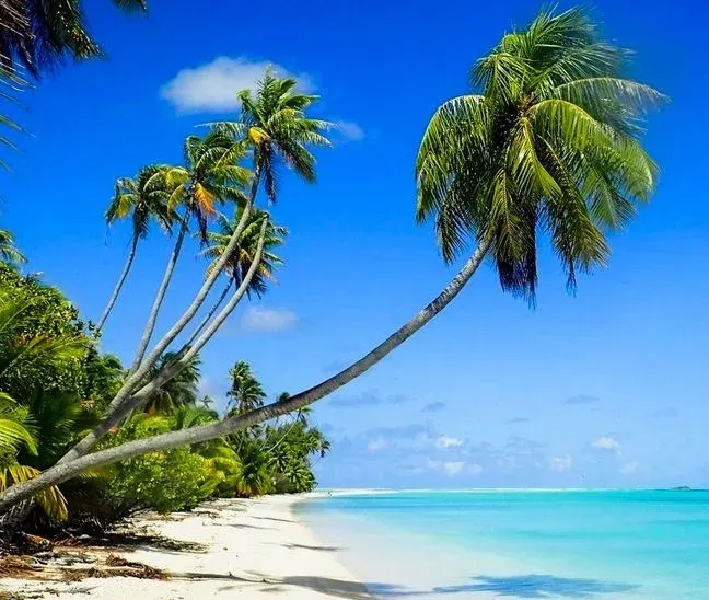 The landscape of Moorea