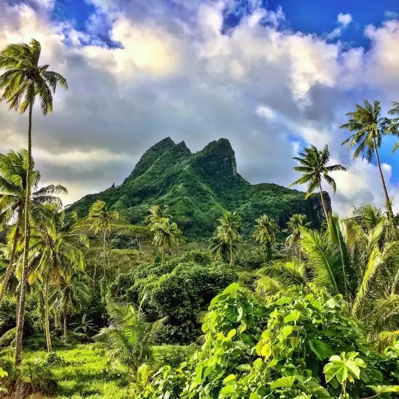 The landscape of Raiatea