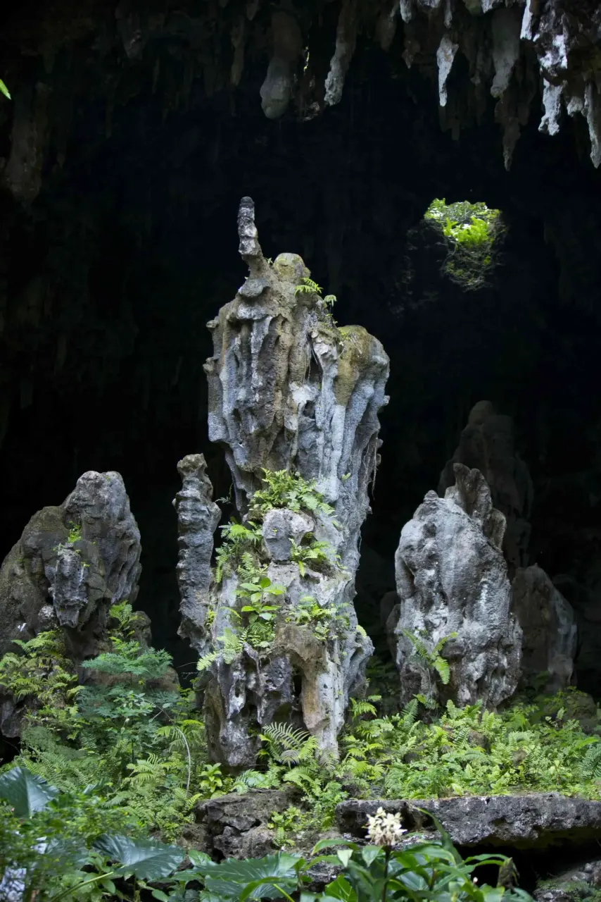 The landscape of Rurutu