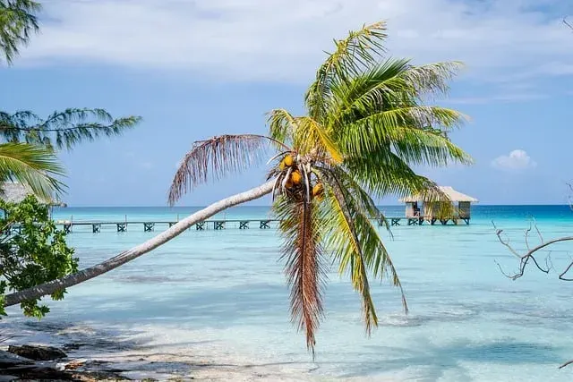 The landscape of Tahiti